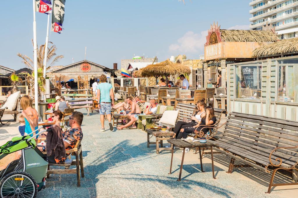 Cute Beach House Zandvoort Zewnętrze zdjęcie